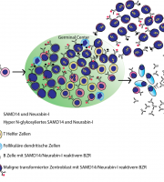 Lymphomforschung