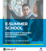 E-Summer School Plakat